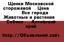 Щенки Московской сторожевой  › Цена ­ 25 000 - Все города Животные и растения » Собаки   . Алтайский край